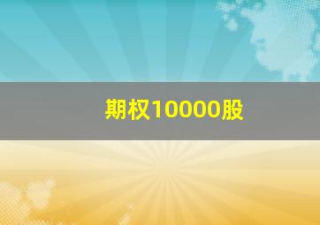 期权10000股