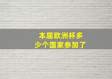 本届欧洲杯多少个国家参加了