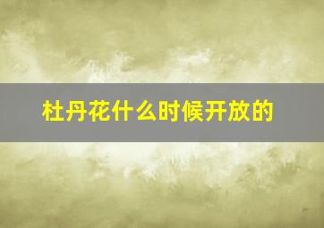 杜丹花什么时候开放的