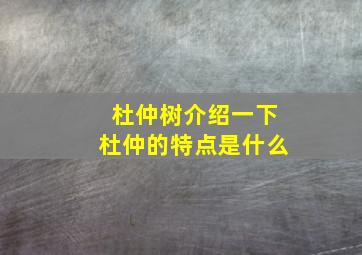 杜仲树介绍一下杜仲的特点是什么