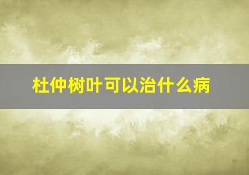 杜仲树叶可以治什么病