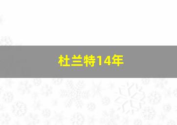 杜兰特14年