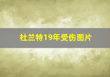 杜兰特19年受伤图片