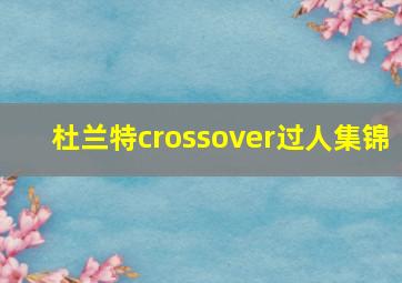 杜兰特crossover过人集锦