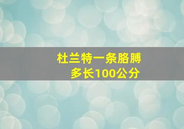 杜兰特一条胳膊多长100公分