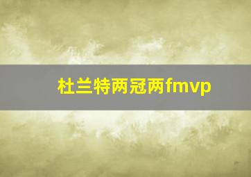 杜兰特两冠两fmvp