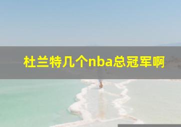 杜兰特几个nba总冠军啊