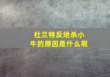 杜兰特反绝杀小牛的原因是什么呢