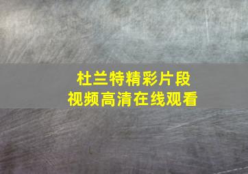 杜兰特精彩片段视频高清在线观看