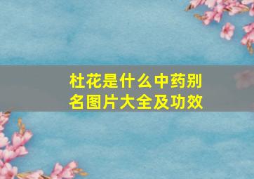 杜花是什么中药别名图片大全及功效