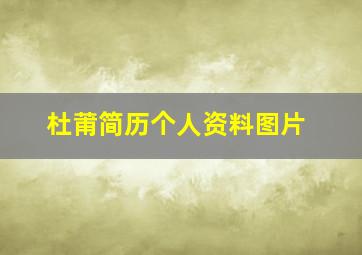 杜莆简历个人资料图片