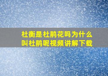 杜衡是杜鹃花吗为什么叫杜鹃呢视频讲解下载