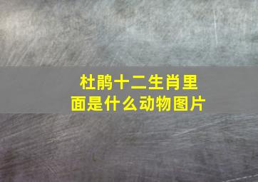 杜鹃十二生肖里面是什么动物图片