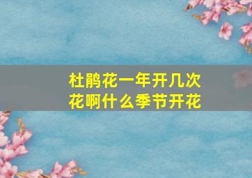 杜鹃花一年开几次花啊什么季节开花