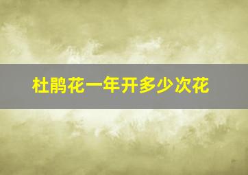 杜鹃花一年开多少次花