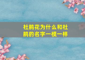 杜鹃花为什么和杜鹃的名字一模一样