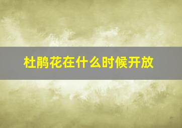 杜鹃花在什么时候开放