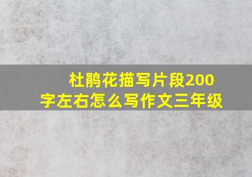 杜鹃花描写片段200字左右怎么写作文三年级