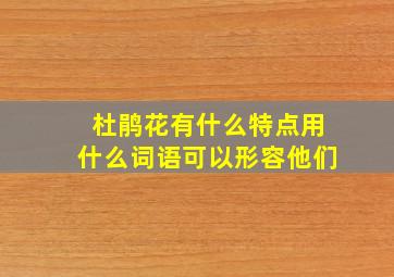 杜鹃花有什么特点用什么词语可以形容他们