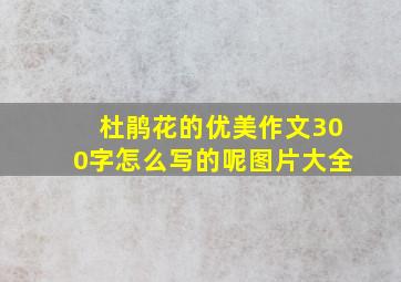 杜鹃花的优美作文300字怎么写的呢图片大全