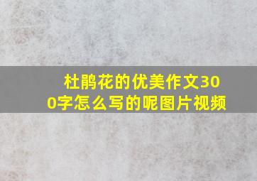 杜鹃花的优美作文300字怎么写的呢图片视频