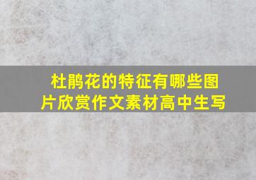 杜鹃花的特征有哪些图片欣赏作文素材高中生写