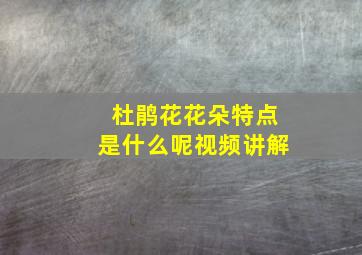 杜鹃花花朵特点是什么呢视频讲解