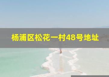 杨浦区松花一村48号地址