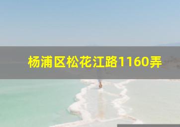 杨浦区松花江路1160弄