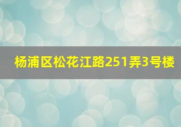 杨浦区松花江路251弄3号楼