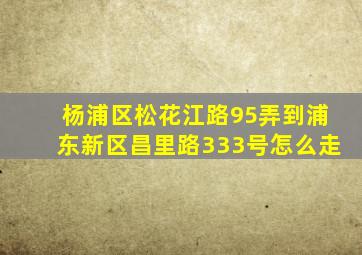 杨浦区松花江路95弄到浦东新区昌里路333号怎么走