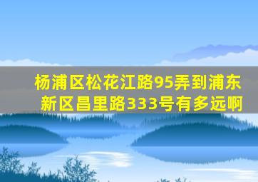 杨浦区松花江路95弄到浦东新区昌里路333号有多远啊