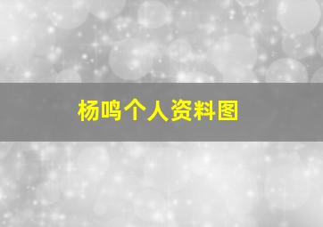 杨鸣个人资料图