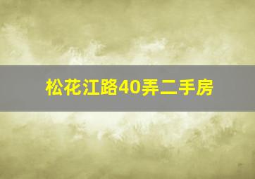 松花江路40弄二手房