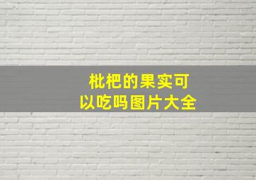 枇杷的果实可以吃吗图片大全