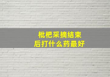 枇杷采摘结束后打什么药最好