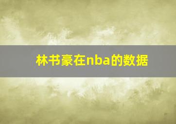 林书豪在nba的数据