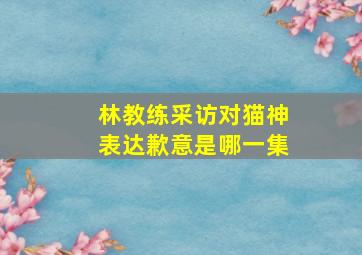 林教练采访对猫神表达歉意是哪一集