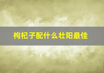 枸杞子配什么壮阳最佳