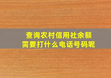 查询农村信用社余额需要打什么电话号码呢