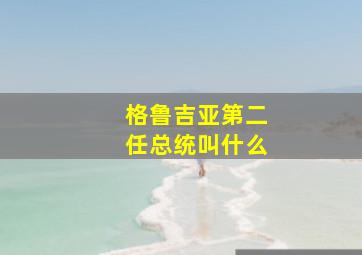 格鲁吉亚第二任总统叫什么