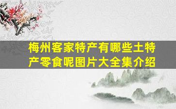 梅州客家特产有哪些土特产零食呢图片大全集介绍