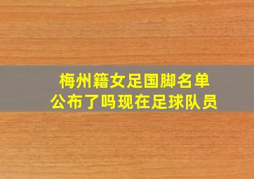 梅州籍女足国脚名单公布了吗现在足球队员