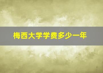 梅西大学学费多少一年