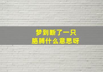 梦到断了一只胳膊什么意思呀