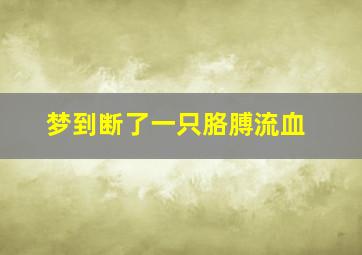 梦到断了一只胳膊流血