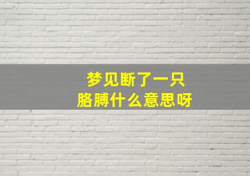 梦见断了一只胳膊什么意思呀