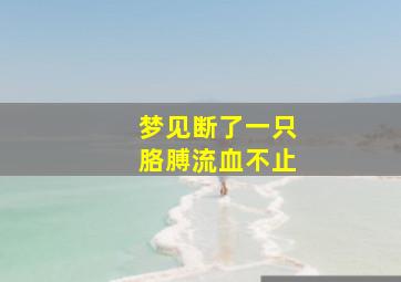 梦见断了一只胳膊流血不止