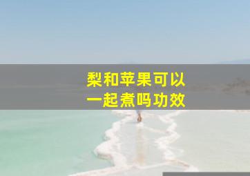 梨和苹果可以一起煮吗功效