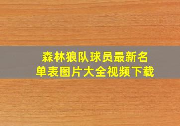 森林狼队球员最新名单表图片大全视频下载